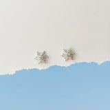 Silver Frost Snowflake Earrings